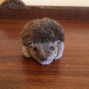 Kosen Hedgehog